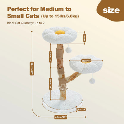 CleoCatra Bloom™ - A blooming retreat for modern indoor comfort