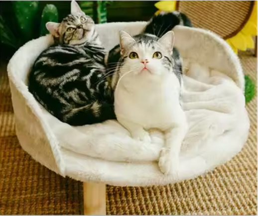 The Cleo Lounge Chair™ - Warm Plush Chair with Wooden Legs